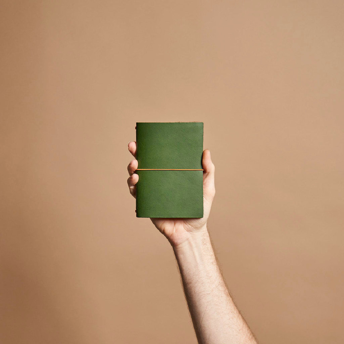 Paper Republic grand voyageur pocket botany green leather journal