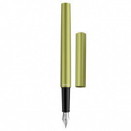 Pelikan Ineo Elements P6 aluminium fountain pen with metal case green oasis