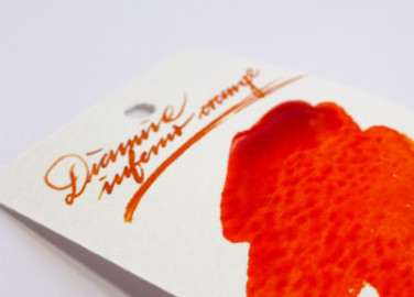 Diamine 50ml Inferno Orange Fountain pen shimmer ink