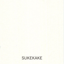 Yamamoto Paper tasting Translucent vol.2