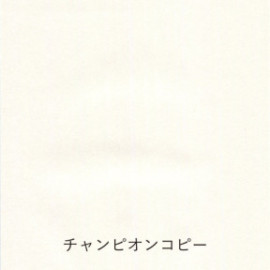 Yamamoto Paper tasting Thin paper to write on Pen Friendly Onionskin vol.2