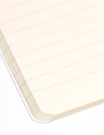 Clairefontaine Rhodia 37126 Triomphe platinum Collection  Black Sewn Notebook - A5 21x14,8 cm - 96 Lined ivoire Pages - 90 g Paper - Card Cover with platinum Marking