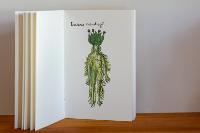 Erbario - Bookaneer Notebook