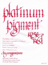 Platinum Pigment Ink Rose Red 60cc