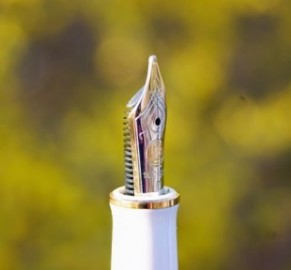 Pelikan Souveran M400 Tortoise White  Fountain Pen