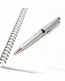 Waterman Expert Matte Chrome Ballpen