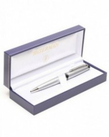 Waterman Expert Matte Chrome Ballpen