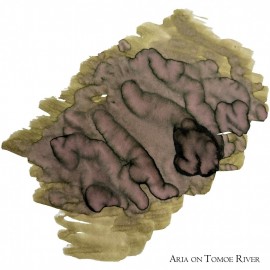 Van Diemans Encore - Aria 40ml Fountain Pen Ink