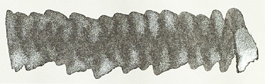 Diamine 50ml Moon Dust Fountain pen shimmer ink bottle