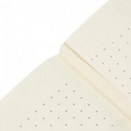 Paperblanks A4 Cahier Dotted Riviera Bold