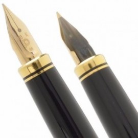 Platinum Vicoh Kanazawa 87, the moon & the rabbit PTL-20000H 18K Fountain pen