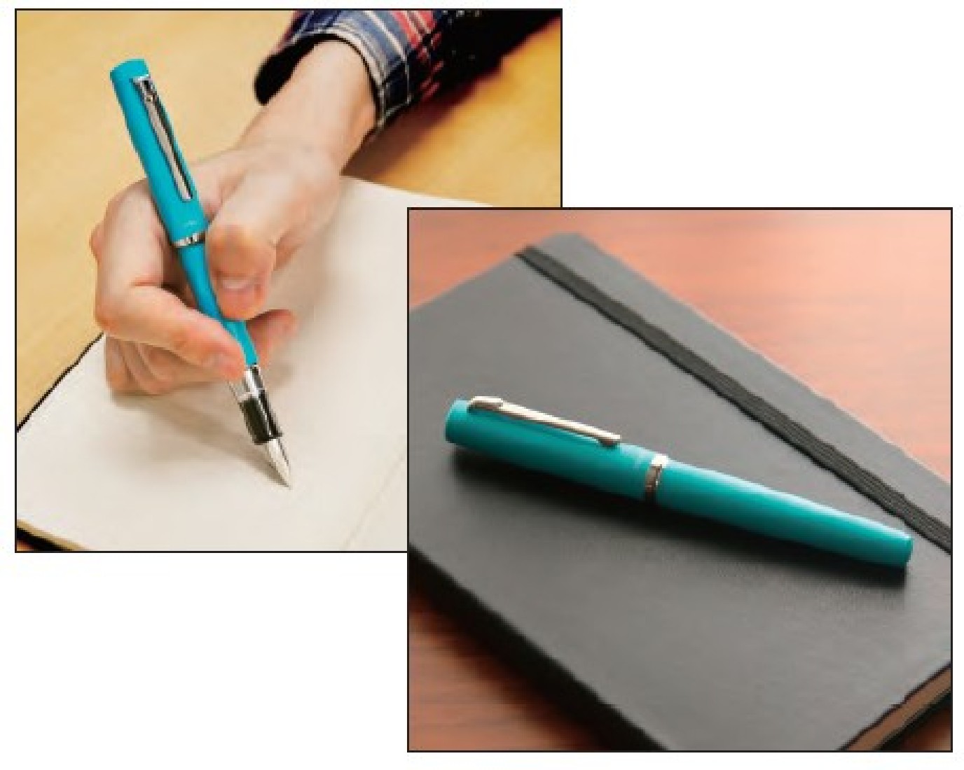 Platinum Vulpen, Plaisir pen: fijn (F) 1 blauw