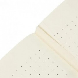 Paperblanks A5 cahier dotted Wordscapes, Free your Mind