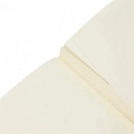 Paperblanks A6 Cahier, plain, Firebird, Birds of Happiness