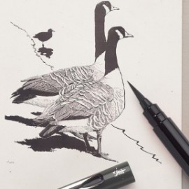 Black Brush Pen Chinese ink GFKp Pentel