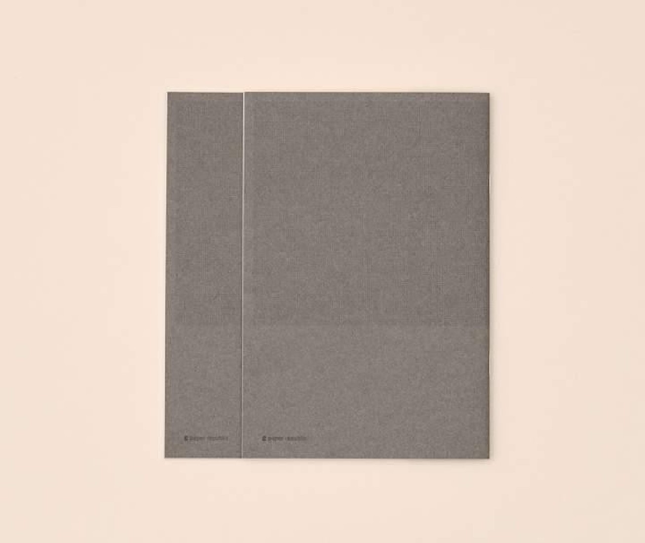 Paper Republic 2 x notebooks (xl) graph PR