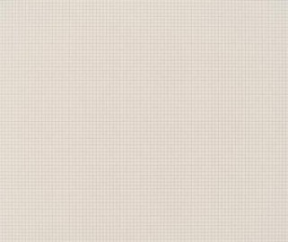 Paper Republic 2 x notebooks (xl) graph PR