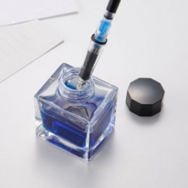 WAB-6633 clear fountain pen with converter