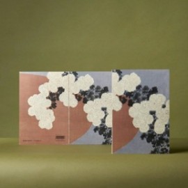 Paper Republic Japan Book Refill, XL Ruled .