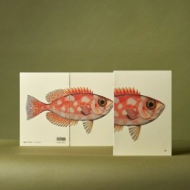 Paper Republic Reef Book Refill XL Plain.