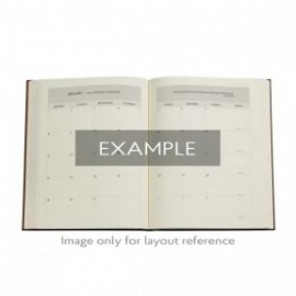 2026 12 Month Business Planner, 224 pages, Inkblot Bold, Ultra 18x23 Soft Cover, Paperblanks