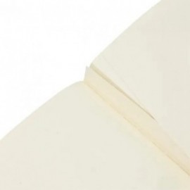 Paperblanks A4 Cahier, unlined, Firebird, Birds of Happiness