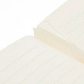 Paperblanks A5 14,8x21 cahier Esprit de Lacombe, ruled