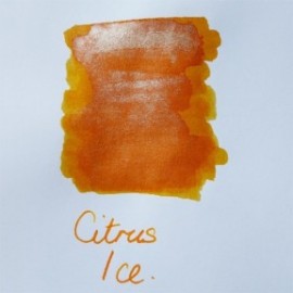 Diamine 50ml Citrus Ice Fountain pen shimmer ink bottle