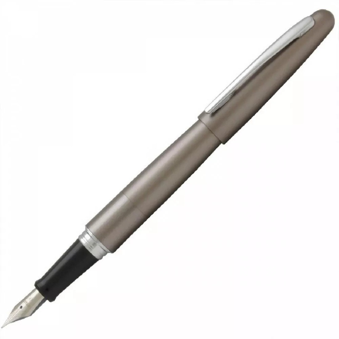 Pilot Cocoon Fountain Pen, Titanium Body FCO-3SR-TI