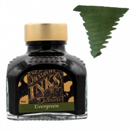 Diamine 80ml Evergreen Ink Bottle