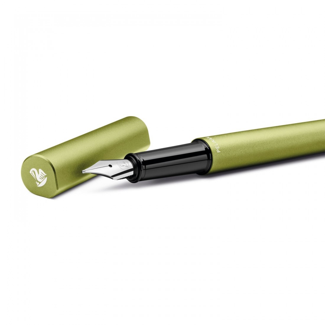 Pelikan Ineo Elements P6 aluminium fountain pen with metal case green oasis