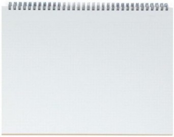 Mnemosyne spiral notebook 180A A4 70sheets 5mm squared 80gr MN