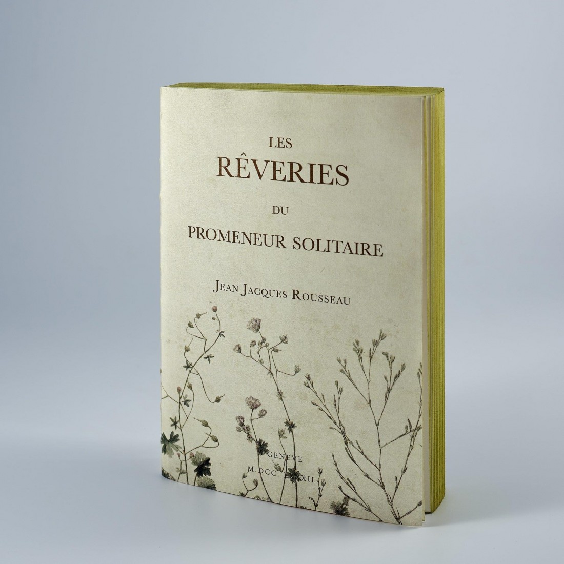 ANTIQUE NOTEBOOK Les reveries du promeneur solitaire LIBRI MUTI