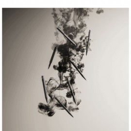 Caran DAche Ecridor black lines set ballpen with leather case 8902.010