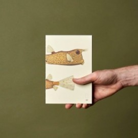 Paper Republic Reef Book Refill XL Dotted