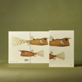 Paper Republic Reef Book Refill XL Dotted