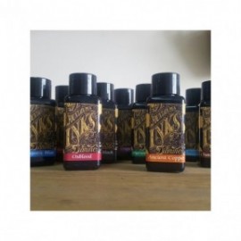 Diamine 30ml Amaranth 252 Fountain pen ink