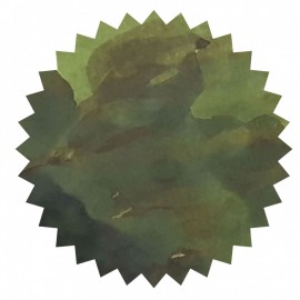 Robert Oster Crocodile Green signature ink 50ml  50513