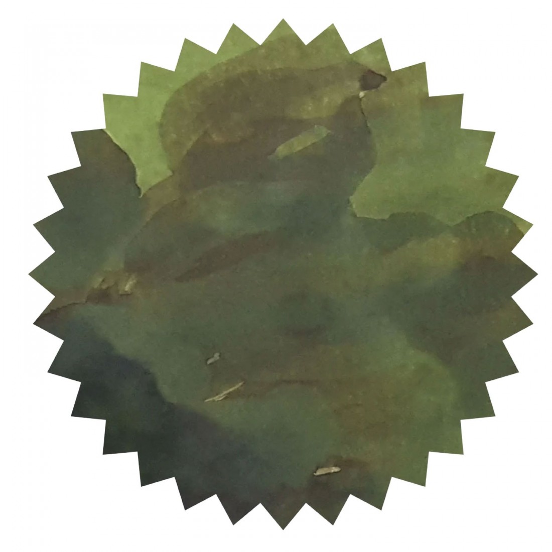 Robert Oster Crocodile Green signature ink 50ml  50513