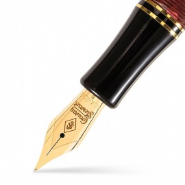 Conway Stewart Churchill Burgundy Fountain Pen