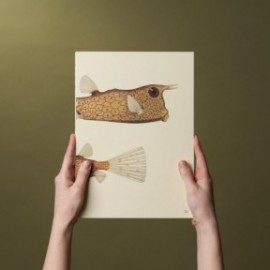 Paper Republic Reef Book Refill A4 Dotted