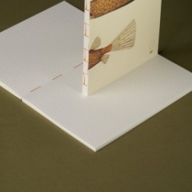 Paper Republic Reef Book Refill A4 Dotted