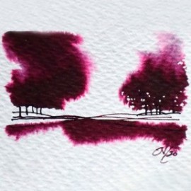 Diamine 80ml Writers blood 110 Fountain pen ink bottle