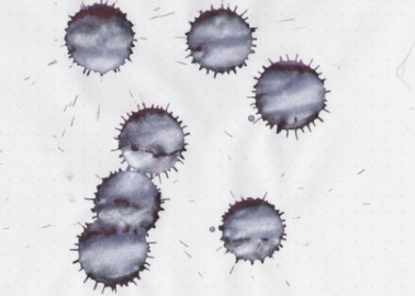 Diamine 50ml Arabian Nights Fountain pen shimmer ink bottle