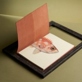 Paper Republic Reef Book Refill A4 Plain