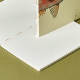 Paper Republic Reef Book Refill A4 Plain