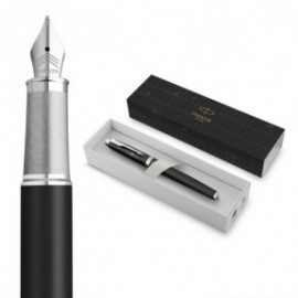 Parker IM Legacy of Flight fountain pen