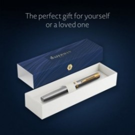 Waterman Impression stainless steel gt fountain pen