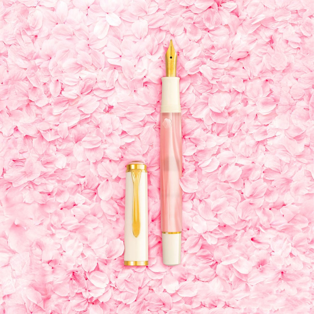 Pelikan Classic M200 Cherry Blossom 2026 Special Edition Fountain Pen