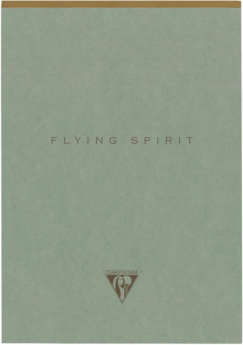 Clairefontaine - 107636C – A pad with glue head Flying Spirit A5, 14.8 x 21 cm, 140 pages, lined, removable, ivory paper, 90 g, cardboard cover, green